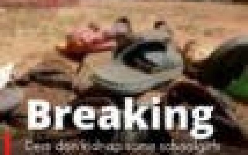 Breaking: Gunmen kidnap schoolgirls in Zamfara