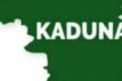 Kaduna APC chieftain says Speaker’s one year in office productive