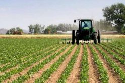 We’re treating agriculture as moneymaking business — FG
