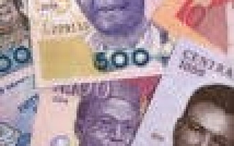Economy: FG’s decision to devalue Naira huge mistake — Thompson
