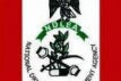 NDLEA seizes 46.8 kg of Tramadol capsules worth N50m in Adamawa