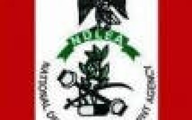 NDLEA seizes 46.8 kg of Tramadol capsules worth N50m in Adamawa