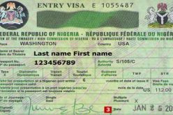 We’ll end Visa booklets delay soon —SE/SS envoys