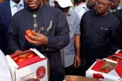 Agriculture: Akwa Ibom’s second oil