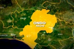 Herders drove us away, built their huts on our farmlands— Ondo farmers