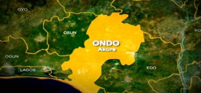 Herders drove us away, built their huts on our farmlands— Ondo farmers