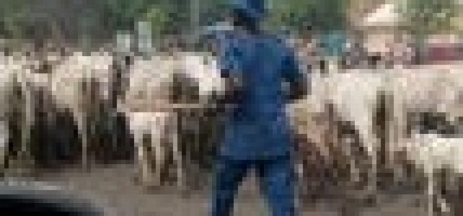 FG maps out 30 grazing reserves for NLTP project implementation