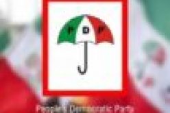 PDP wins Andoni in Rivers LG poll