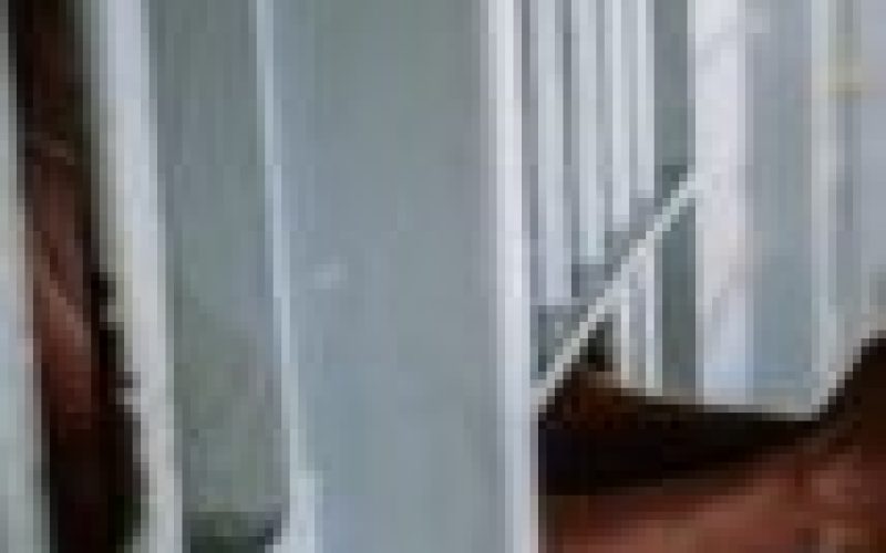 Police not solely responsible for large number of inmates — PPRO