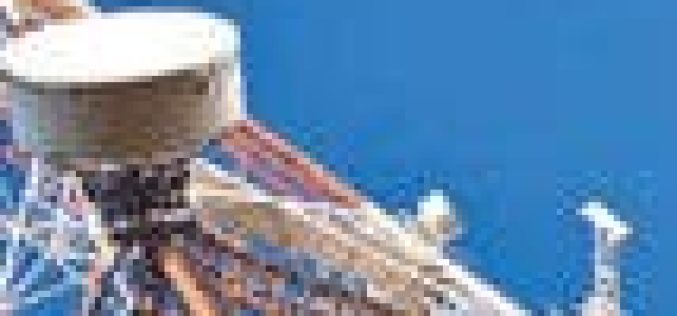 Irabor urges telecom providers to support military to combat insecurity