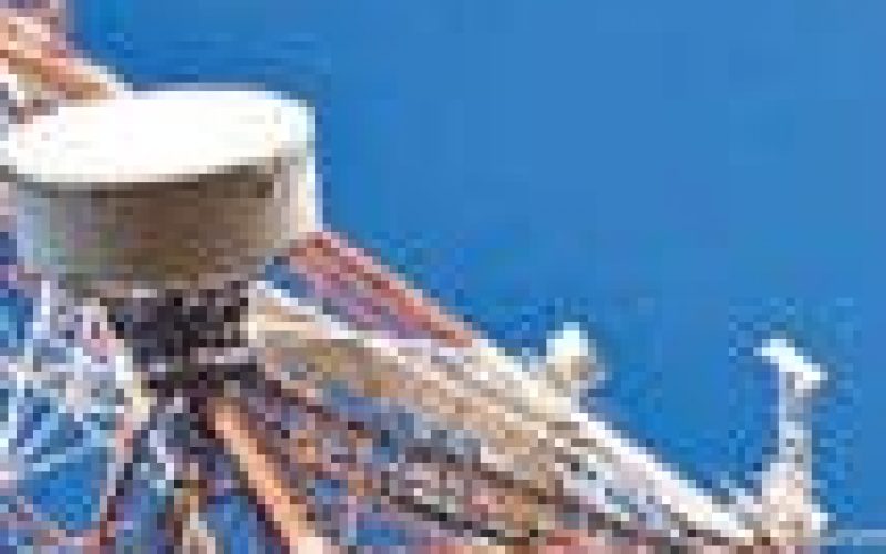 Irabor urges telecom providers to support military to combat insecurity