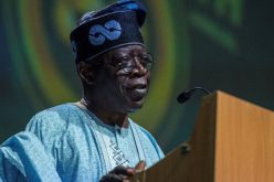 Tinubu urges youths to avoid thuggery
