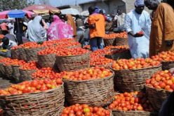 Food inflation rises 20.6% as price increases persist