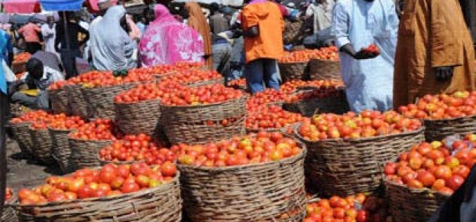 Food inflation rises 20.6% as price increases persist