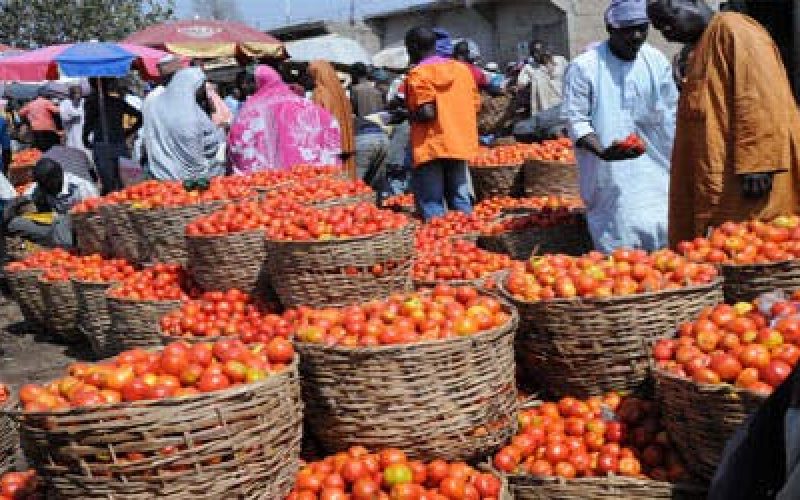 Food inflation rises 20.6% as price increases persist