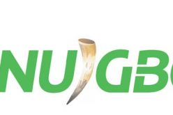 Ndi Igbo Online Media platform debuts