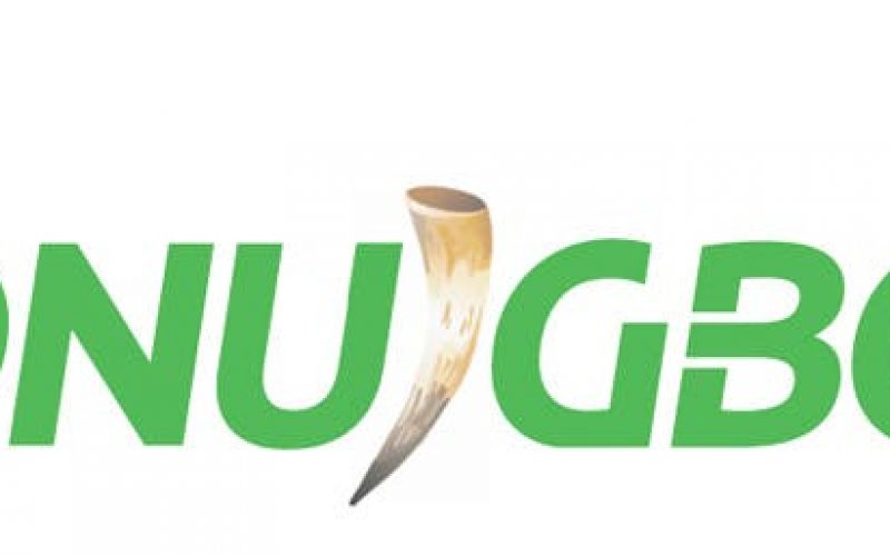 Ndi Igbo Online Media platform debuts