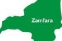 Police arrest, prosecute 18 illegal miners in Zamfara