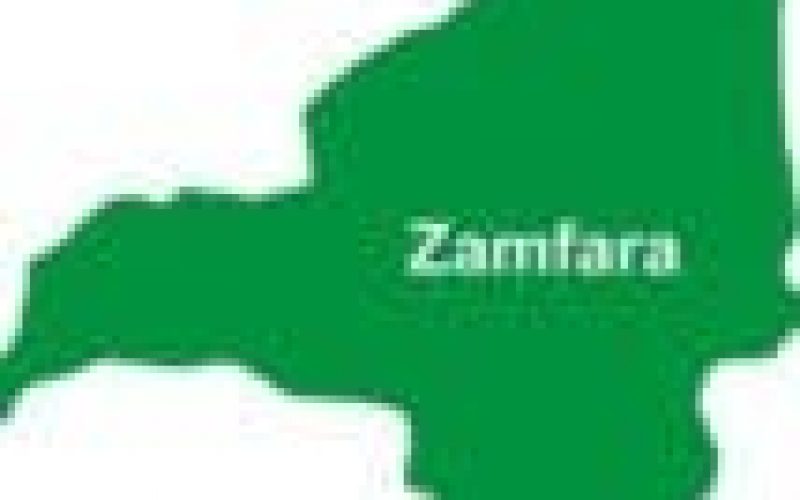 PDP kicks against alleged plot to declare state of emergency in Zamfara