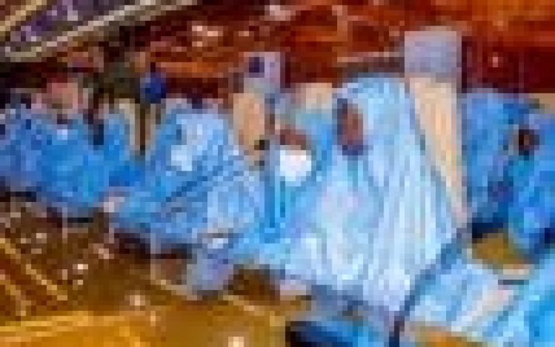 Freed Zamfara schoolgirls to reunite with parents