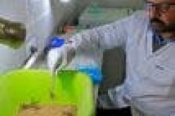 Egypt’s ‘Scorpion King’ turns venom into money