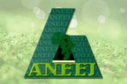ANEEJ releases performance ranking report of 113 MDAs in 2020