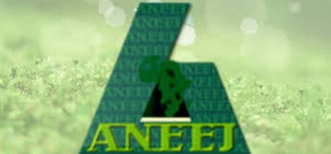 ANEEJ releases performance ranking report of 113 MDAs in 2020