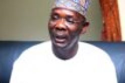 Boko Haram members, strange herdsmen in 5 Nasarawa LGAs ― Gov Sule
