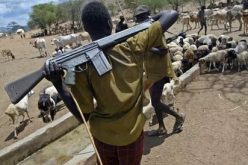 CRIMINAL HERDSMEN IN S/EAST: Fish out Ebonyi killers within 72 hrs, Council Chairmen give police deadline