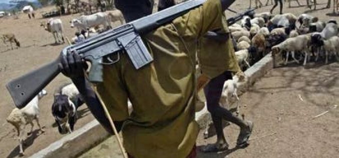 Breaking: Vacate South-East in 48hrs or be treated like ‘bush meat’, Ohanaeze warns Fulani with AK-47