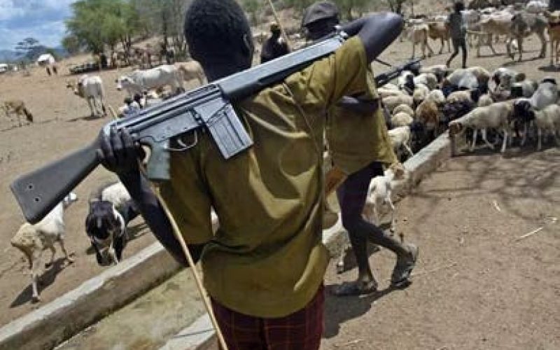 CRIMINAL HERDSMEN IN S/EAST: Fish out Ebonyi killers within 72 hrs, Council Chairmen give police deadline