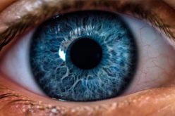 Expert reveals leading causes of blindness in Nigeria