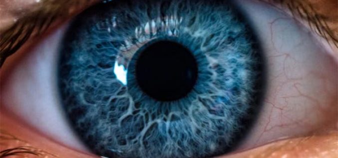 Expert reveals leading causes of blindness in Nigeria