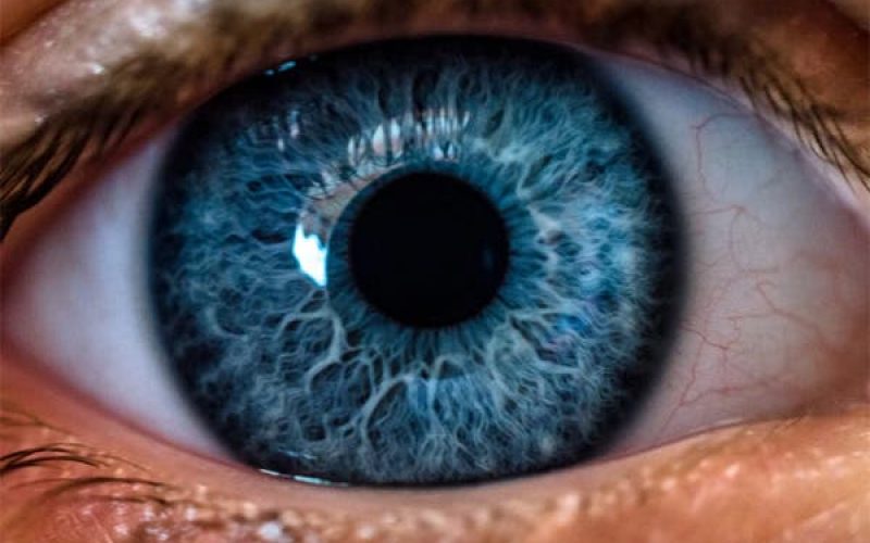 Expert reveals leading causes of blindness in Nigeria