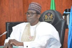 Buni seeks support for economic diversification to reduce oil dependence