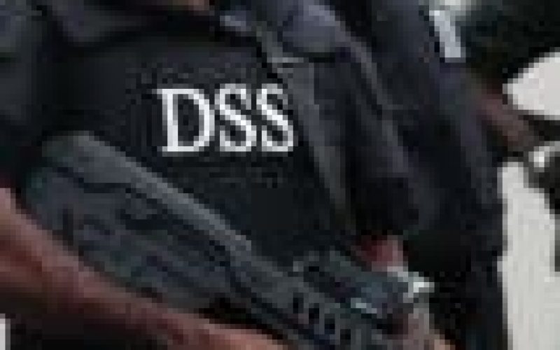 Pantami: DSS disowns Amachree; says views expressed by former director personal