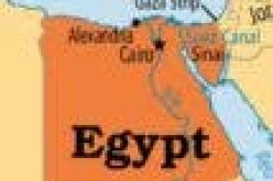 11 passengers killed in Egypt’s train derailment – Ministry