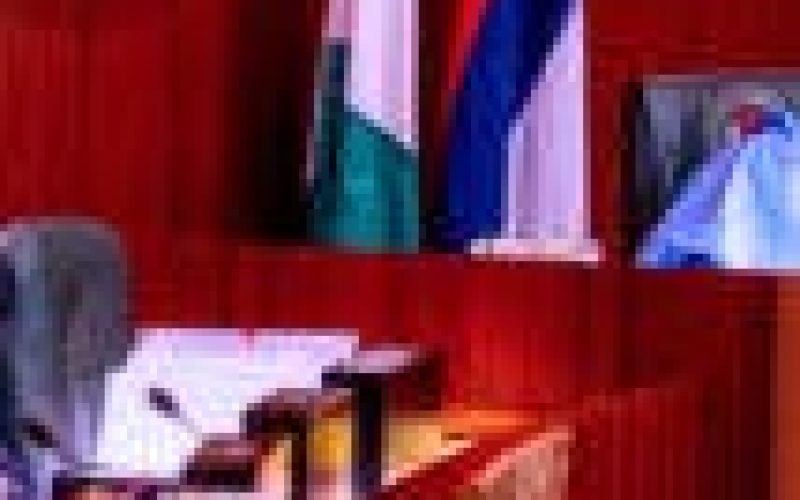 Buhari presides over 36th virtual FEC