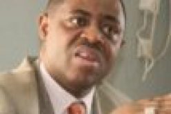 Claims filed by Fani-Kayode’s estranged wife falsehood, Aide says