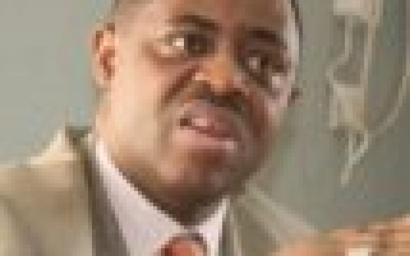 Claims filed by Fani-Kayode’s estranged wife falsehood, Aide says