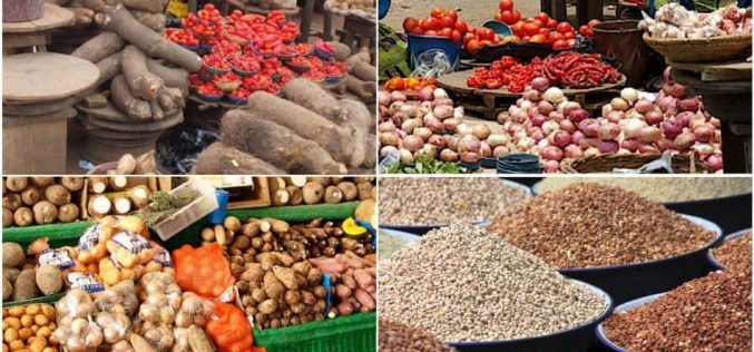 Nigerian women play major role in food security — Amb Katagum