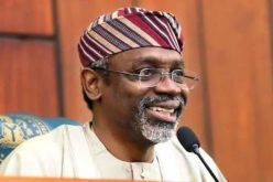 We’ll tackle challenges facing LG administration — Gbajabiamila