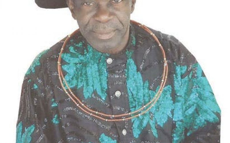 NDDC: Forensic audit slowing down devt of Niger Delta – Amadhe
