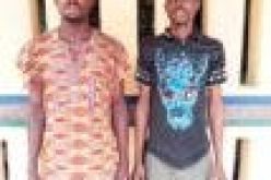 Our co-tenants gagged me with cloth, took turns to rape me, teenager cries out