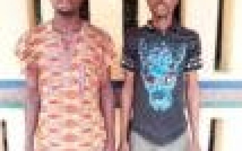 Our co-tenants gagged me with cloth, took turns to rape me, teenager cries out