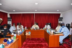 Zulum urges FG to hire machineries, collaborate with neighbours to end insurgency