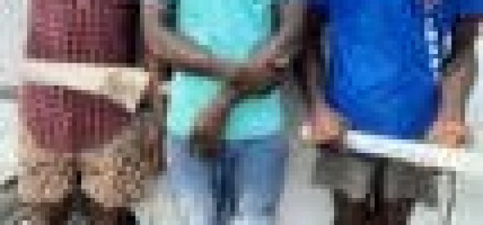 We’ll go after hoodlums, cultists in Ajah, Lekki, CP assures
