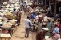 Food security: Tackle challenges facing Smallholder Women Farmers, Group urges Umahi