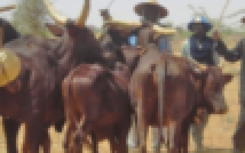 BREAKING: Fulani herdsmen attack Ngbo Community in Ebonyi
