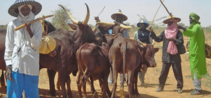 Bandits are displaced herdsmen — MIYETTI ALLAH